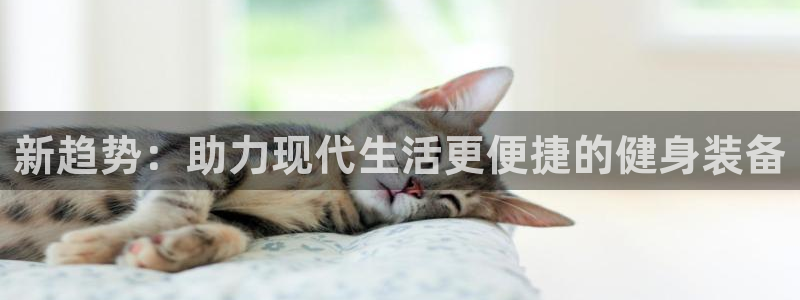 意昂平台体育:新趋势:助力现代生活更便捷的健身装备