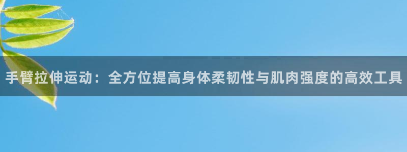 凯捷体育科技:手臂拉伸运动:全方位提高身体柔韧性与肌肉强度的