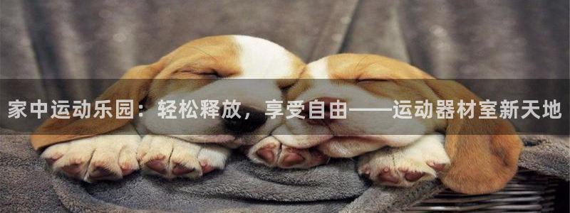 凯捷体育官方客服电话:家中运动乐园:轻松释放,享受自由——运