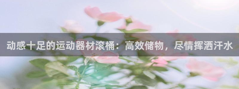 凯捷体育软件:动感十足的运动器材滚桶:高效储物,尽情挥洒汗水