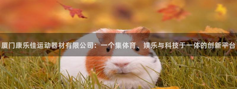 凯捷体育娱乐平台:厦门康乐佳运动器材有限公司:一个集体育、娱