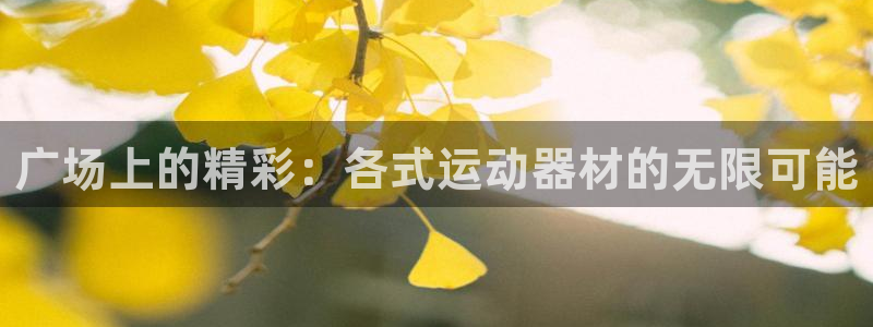 凯捷体育招商电话地址是多少:广场上的精彩:各式运动器材的无限